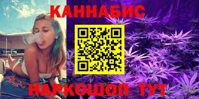 гашик Новодвинск